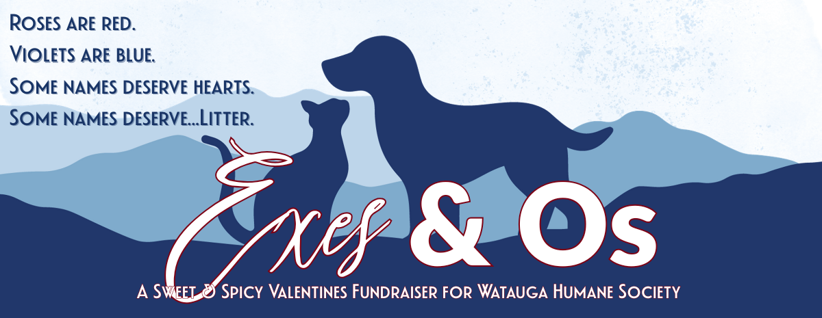 Exes and Os - Valentines Fundraiser